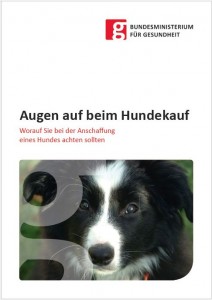 Augen-auf-beim-Hundekauf!-Worauf-Sie-bei-der-Anschaffung-eines-Hundes-achten-sollten