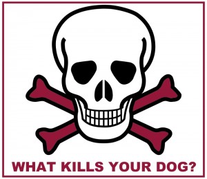 what_kills_dogs