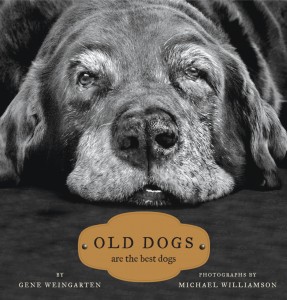 Wunderbarer Bildband: Old Dogs Are the Best Dogs By Gene Weingarten Photographer: Michael S. Williamson, Verlag: Simon & Schuster 2008