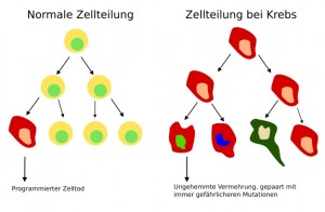 Quelle: de.wikipedia.org