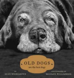 Old Dogs: Are the Best Dogs (Englisch) von Gene Weingarten (Autor), Michael S. Williamson (Fotograf)