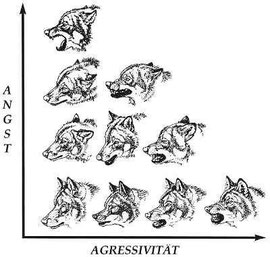 Angst und Agression